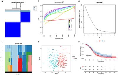 Comprehensive Analysis Identifies Potential Ferroptosis-Associated mRNA Therapeutic Targets in Ovarian Cancer